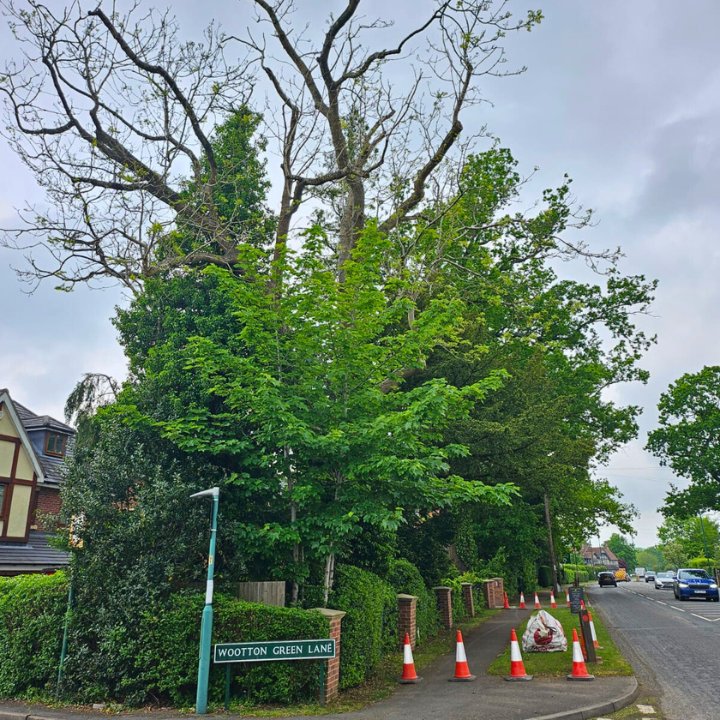 Permitted pedestrian route closure of front of house curtilage setup for Ash tree removal works on Kenilworth Road, Balsall Common.