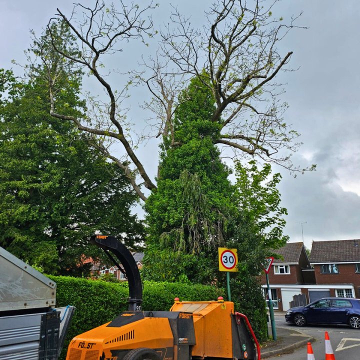 Permitted pedestrian route closure of side of house curtilage setup for Ash tree removal works on Wooten Green Lane, Balsall Common.